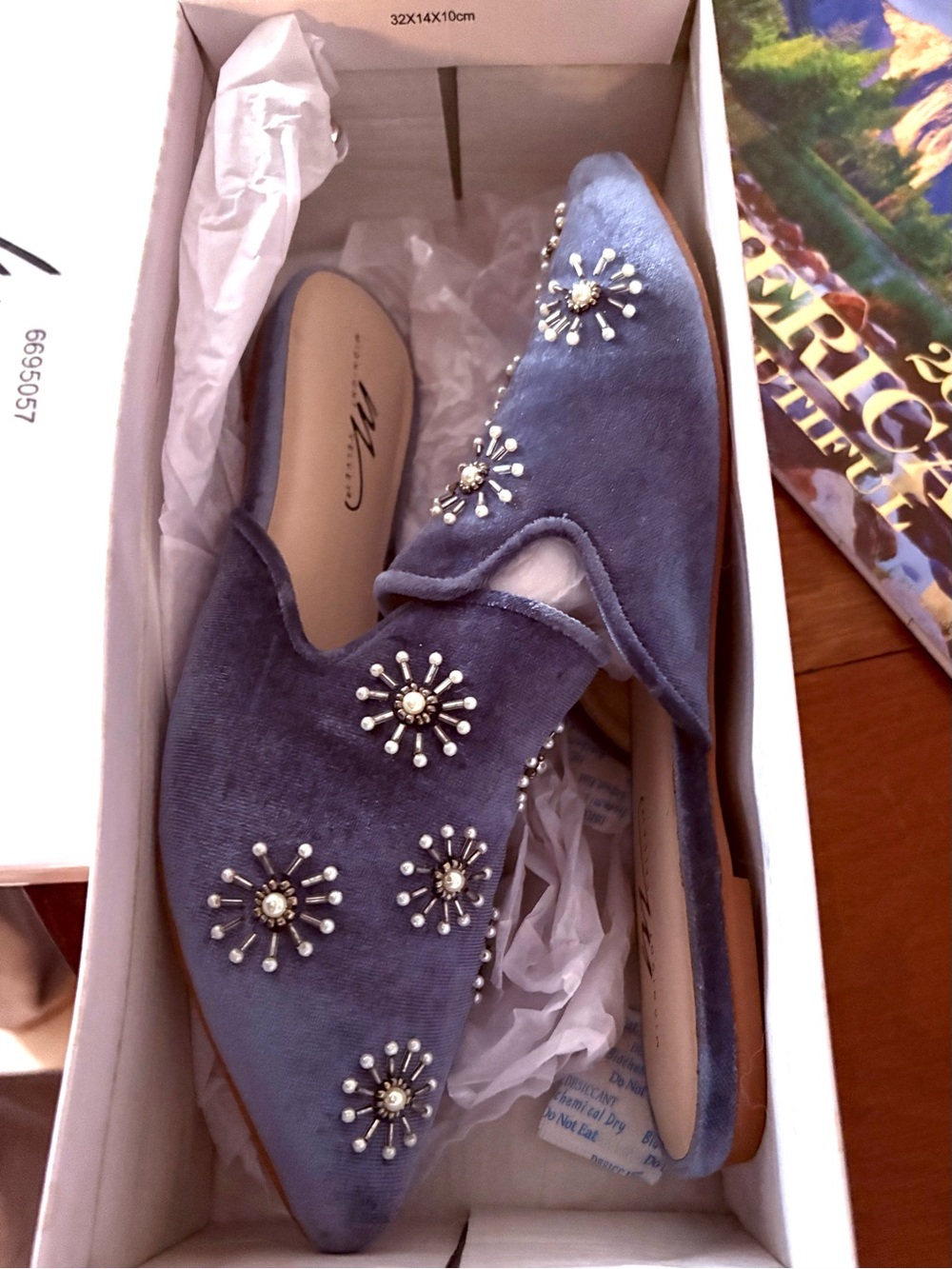 Midnight Velvet Blue Velvet Embellished Pointed Backless Loafers